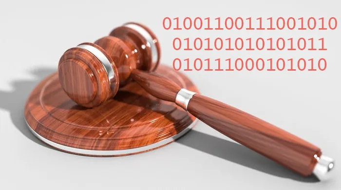 Litigation support for lawyers